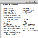 system-report-macbookpro-16gb